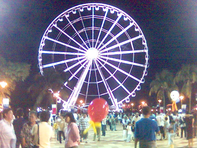 the eye