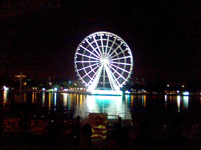 the eye
