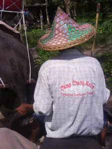 the-guard-of-the-elephant