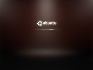 ubuntu-9.10-up ubuntu-9.10-up