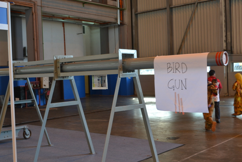 bird-gun