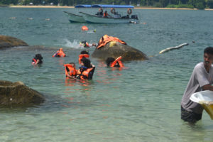 the-snorkeling-site